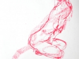 croquis81
